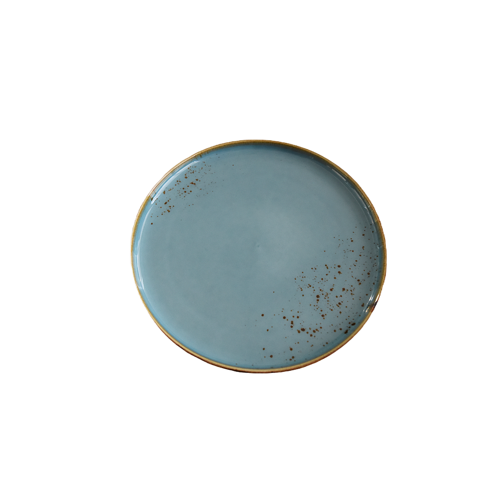 "Terra" 9.5" Round Plate Dap-Blue