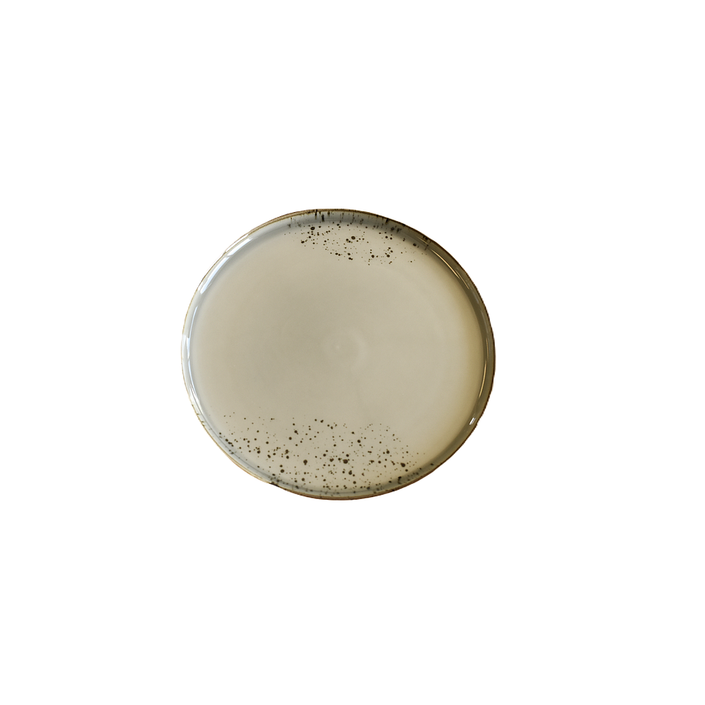 "Terra" 9.5" Round Plate Dap-Grey
